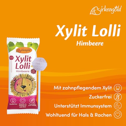 Birkengold Xylit Lolli zuckerfrei 20 x 6g einzeln verpackt vegan
