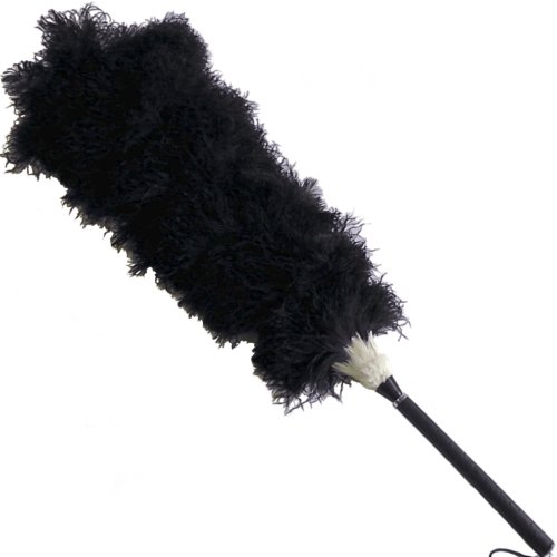 I[Xgb` т΂ T300 98cm ()