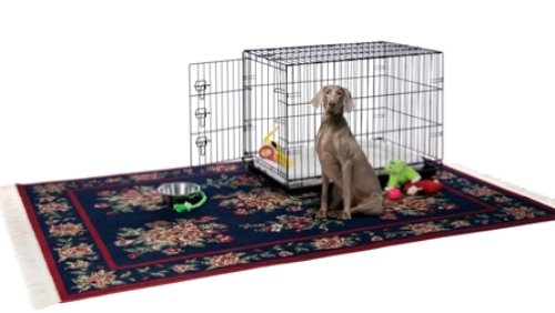 Image of Prevue Pet Products Home On-The-Go Single Door Dog Crate Indoor - M, Black