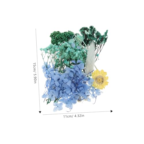 Kit de flores prensadas naturales para manualidades miniatura 2