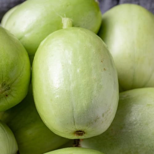 semillas de pepino, resistentes para balcones cucumis sativus, semillas exóticas Las de jardín son resistentes 250pcs