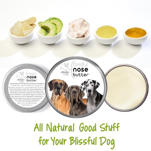 Image of The Blissful Dog Great Dane Nose Butter, Versatile Dog Nose Balm for Dry Nose, Handcrafted Nose Moisturizer, Easy-to-Apply Dog Essentials, Unscented, 2 oz.