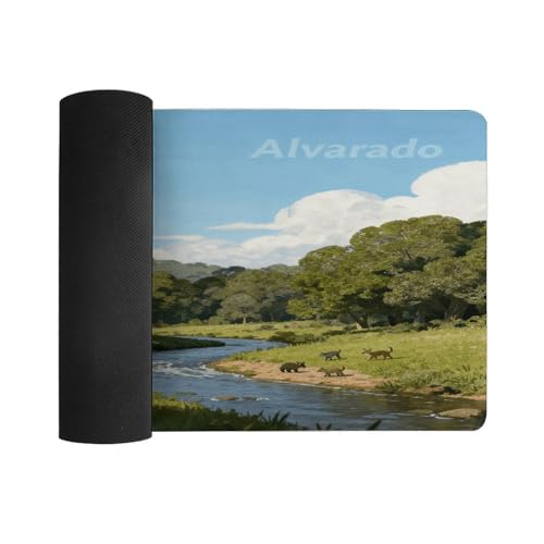 Alvarado Desk Pad impermeable grande 30x60 cm miniatura 3