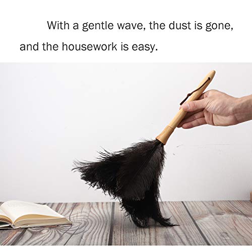 Feather Duster, Ostrich Feather Duster Ddzmz Fluffy Natural Genuine Ostrich Feathers and Reusable Wooden Long Handle Large Ostrich Feather Duster Cleaning for Housewife Black Length 16" 1Pack