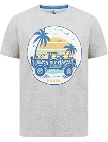 Sth. Shore Men's Hawaii Vintage Graphic Print Cotton T-Shirt - Light Grey Marl - S