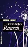 Cover zum Buch Gefährlicher Rausch