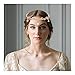 EVER FAITH Wedding Bridal Headband for Brides, Austrian Crystal Teardrop Leaf Elf Costume Accessory Tiara Hair Band Crown for Cosplay Birthday Party Christmas Clear Rose Gold-Tone