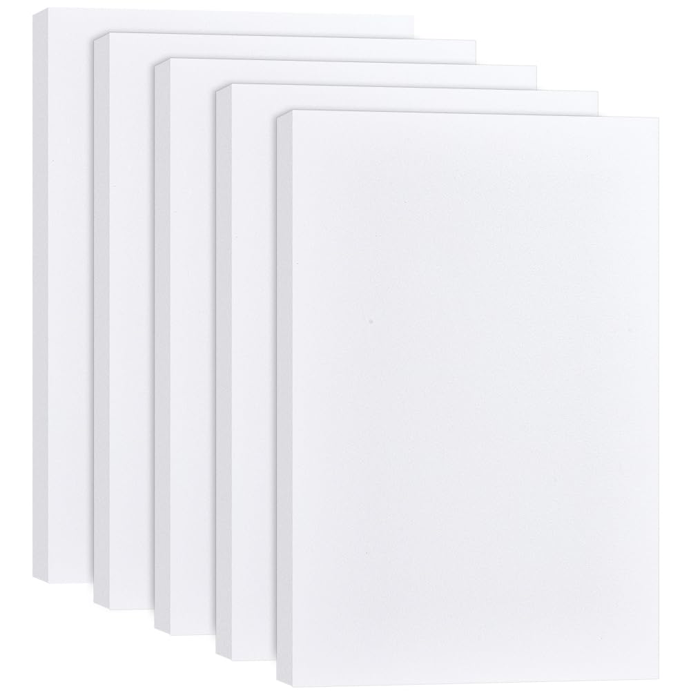 Panneau d'isolation en mousse XPS BENECREAT 30x20x2cm lot de 5 pour modélisme et bricolage