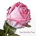 Artificial Realistic Roses Pink Flowers 24