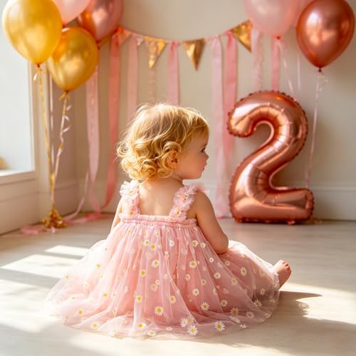 AGQT Baby Girls Daisy Tutu Dress Sleeveless Tulle Tutu Dress Princess Birthday Party Babydoll Dresses Pink Daisy-Lace Size 18-24 Months — view 4