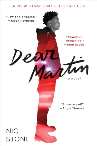 Dear Martin view 2