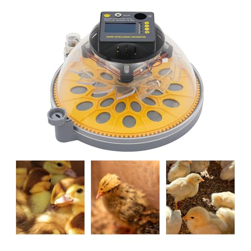 Egg Incubator with Automatic Egg Turning and Humidity Control, Chicken Incubators for Hatching Eggs, Led Light, Holds 12-24 Eggs, for Hatching Chicken, Duck, Goose, Bird