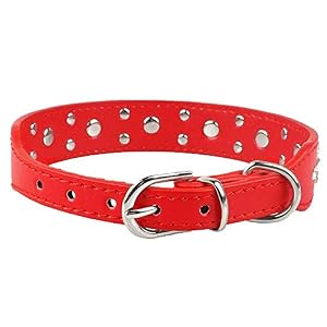Rhinestone Dog Collar, Cute Flower Rhinestone Cat Dog Collar Bling Collar PU Leather Collar Adjustable Sizes Small Medium Large(Red,S) Rhinestone Dog Collar, Cute Flower Rhinestone Cat Dog Collar Bling Collar PU Leather Collar Adjustable Sizes Small Medium Large(Red,S)
