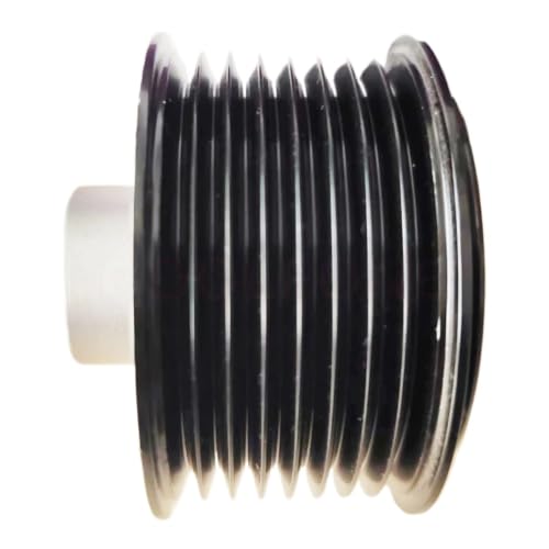 Polea de embrague de rueda libre del alternador sobremarcha para JAC T6 T8 Sunray 1025120FD020