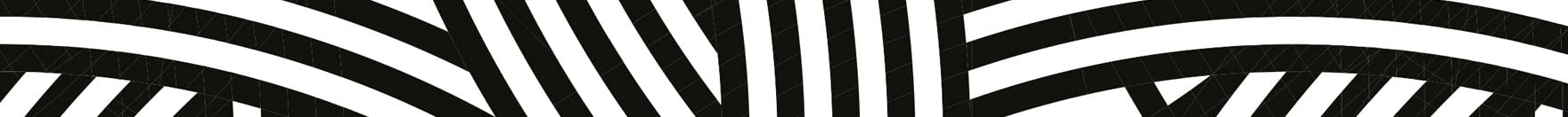 reisenthel carrybag in Zebra – Stabiler Einkaufskorb mit viel Stauraum und praktischer Innentasche – Elegantes und wasserabweisendes Design