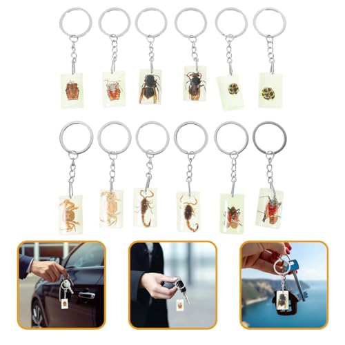Image of balacoo Insect Specimen Keychain- 12Pcs Creative Insect Amber Specimen Pendant, DIY Key Ring