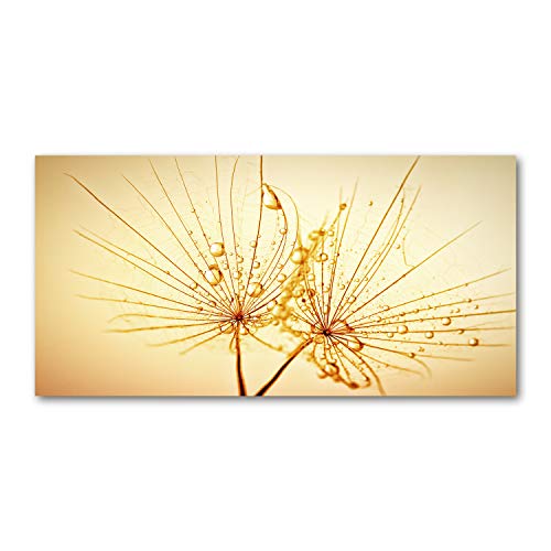 Splashback guard cuisine 140x70cm en verre pour éliminer les taches