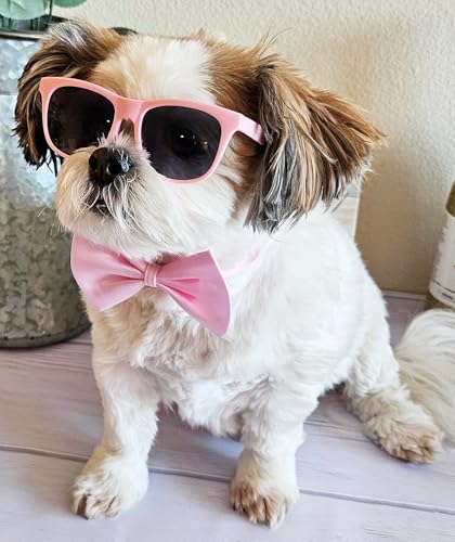 Disfraz para perros pequeño-medio con gafas retro y corbatín miniatura 6