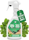 Super Ninja Spray Anti-Fourmis et Insectes Rampants - 500ml, Anti Araignées maison, Cafards, Poissons d’Argent, Formule à Base de Menthe, Sécuritaire pour la Famille et les Animaux