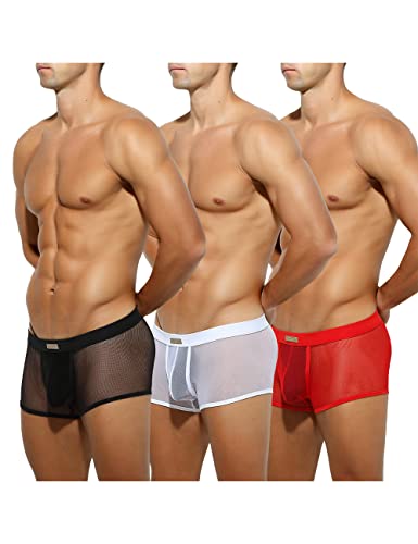 Arjen Kroos Men Sexy Mesh Underwear Low Rise Stretch Breathable Boxer Briefs
