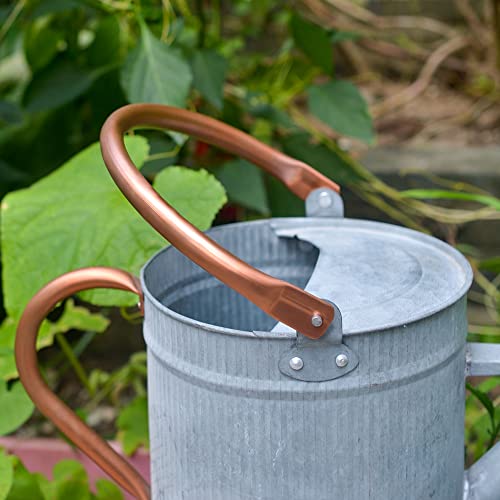 HORTICAN 1 Gallon Watering Can, Metal Watering Can with Removable Spout, Farmhouse Galvanzied Water Can, Nice Plant Water Can for Indoor Use and for Outdoor Use - Thumbnail 4