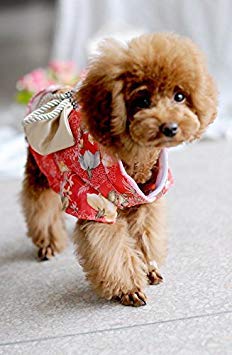 Creation Core Brokat-Pet-Kimono Für Hunde/Katzen – Japanischer Stil, Mit Blumen-Schleife, Pink, Größe S