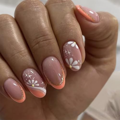 ܂ɌŎ24Zbg24A[htX̃`bvvXt[fUC̒܂̒܂̒܂̃NCbNAvP[V