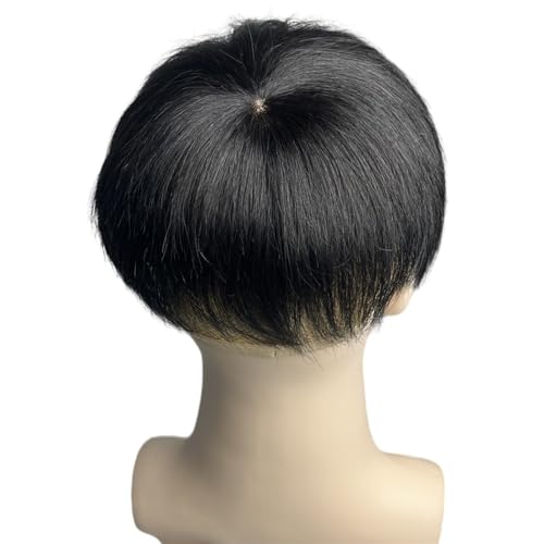 Toupet pour hommes masquer calvitie postiche naturel 4 clips 13x18cm