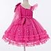 OBEEII Christening Pageant Dress for Toddler Baby Girl Sequins Star Bowknot Princess Wedding Flower Girl Dress Birthday Party Photoshoot Fairy Formal Ball Gown Hot Pink 9-12 Months