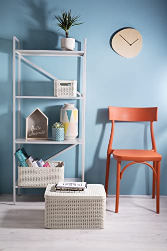 Curver 205862 - Scatola con coperchio finto vimini...