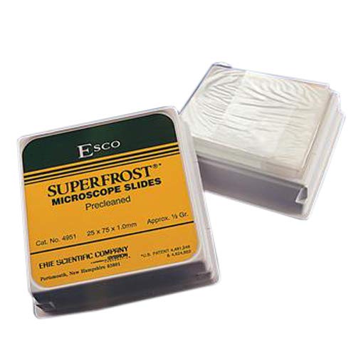 Superfrost Plus 5951PLUS-001 Microscope Slide, 25 x 75mm Size, Blue (Case of 10)