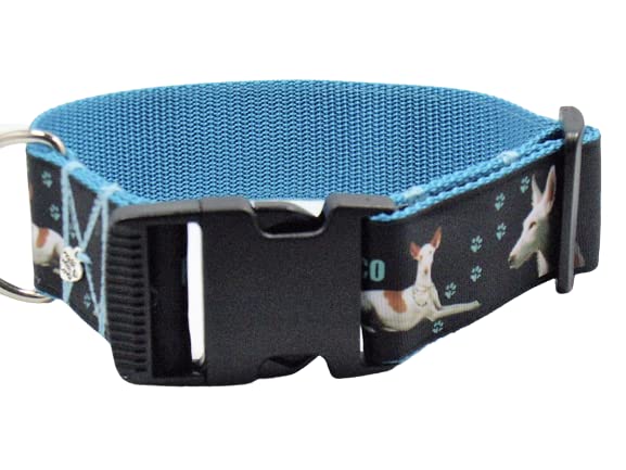 Halsband 'Podenco' Größe SM bis 40 cm Halsumfang