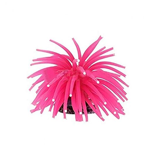 MAXXI ANEMONA YS-1106R PINK 7CM