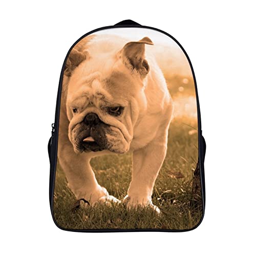 Sac à dos Bulldog 3D (40x28x16cm) pour ordinateur portable, travail et école