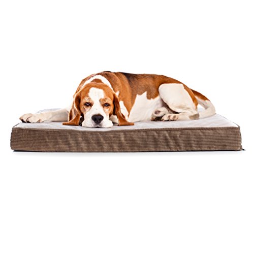 Milliard Quilted Padded Orthopedic Dog Bed, Egg Crate Foam with Plush Pillow Top Washable Cover (47 inches x 29 inhes x… - Image 6