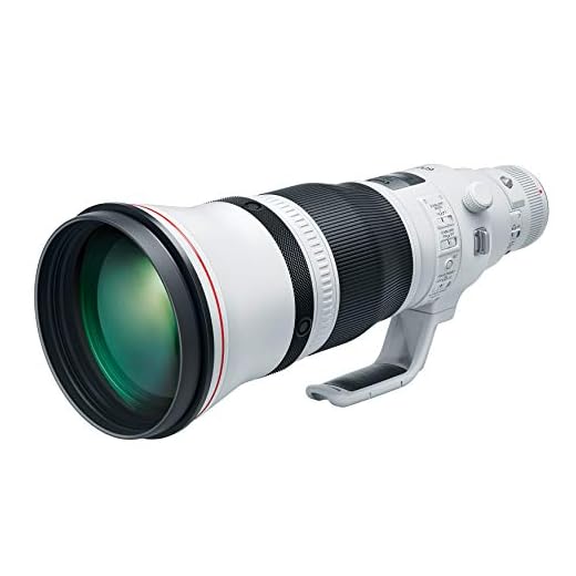 Canon EF 600mm f/4L IS III USM Lens
