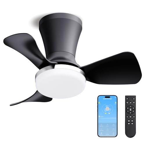 Image of LANMEL Ceiling Fan with Light, Modern Flush Mount Low Profile with Remote Control, Reversible, 3CCT Dimmable, Quiet,LED for Bedroom, Living Room, Indoor /Outdoor Patio Use 22 Inch Silver & Black