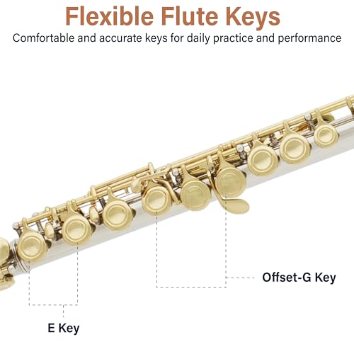 Image of Mendini by Cecilio 16 Keys Closed Hole C Flute Kit for Beginners - Gold | Beginner Flute Kit with Carrying Case, Stand, Tuning Rod, Adjustment Screws, Cork Grease, Lesson Book, Cleaning Kit, Gloves