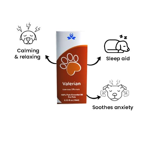 Aceite esencial de valeriana para mascotas 10ml miniatura 5