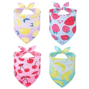 PUPTECK Summer Dog Bandana 4pcs Outfit Fruit Soft Costume Pet Triangle Bibs Scarf Pet Accessories Gifts for Small Medium Large Dog Cat Boy Girl Spring