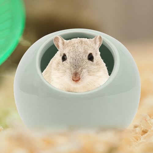 Niche en céramique pour hamster et petits rongeurs POPETPOP vert