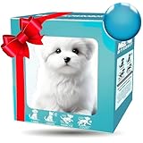 4. Jeux interactifs intelligents : Ce chien doté d’une intelligence artificielle réagit au toucher et aux commandes vocales, interagissant avec les utilisateurs par des sons et des mouvements amusants. Il favorise l’apprentissage des sciences, des technologies, de l’ingénierie et des mathématiques (STEM) chez les enfants et offre un divertissement interactif captivant pour tous les âges.