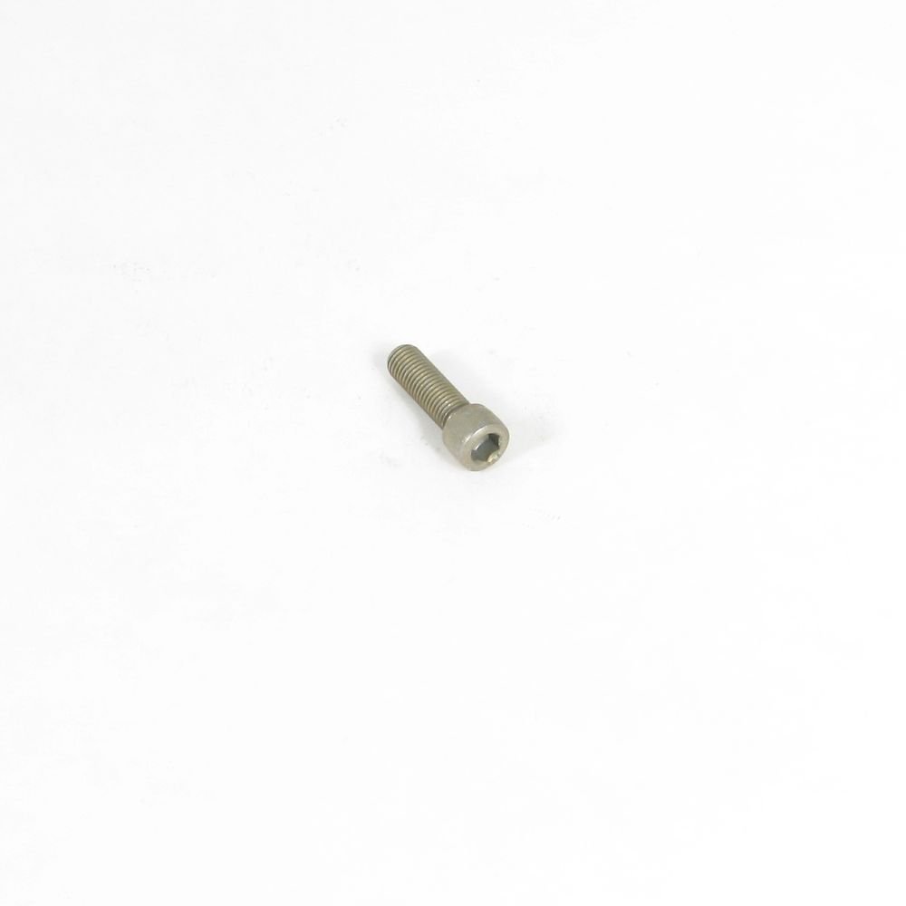 Briggs and Stratton 23707GS Screw