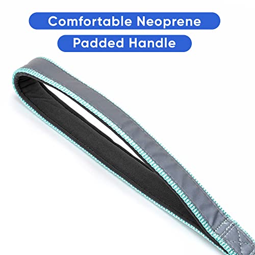 Pawtitas 6 Ft Padded Dog Leash With Comfortable Neoprene Padding Handle - Teal Lead | Small Reflective Dog Leash With Highly Reflective Band Perfect For Extra Small And Small Dogs And Puppies. #TOP3