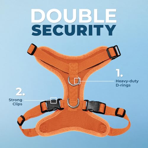 Image of Best Pet Supplies Voyager Step-in Lock Pet Harness w Reflective Pet Leash Combo Set with Neoprene Handle 5ft - Supports Small, Medium and Large Breed Puppies /Cats - Orange Set, XL