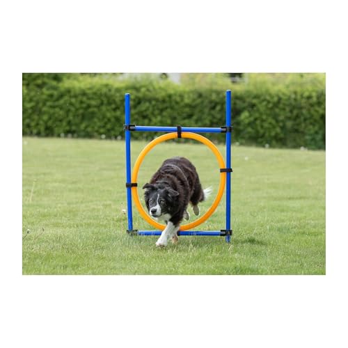Trixie Agility Ring, 115×ø 3 cm, ø 65 cm
