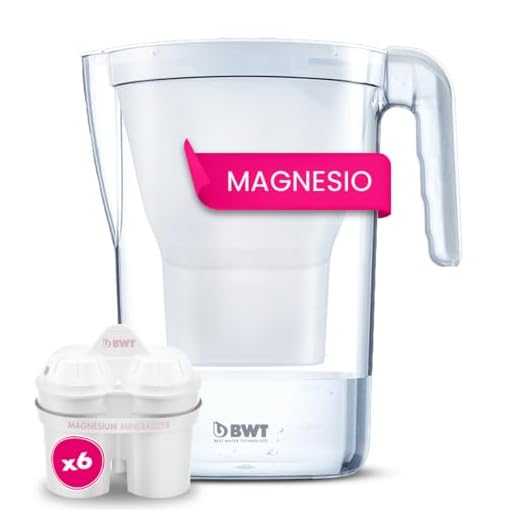 BWT - Jarra filtradora de agua 2,6L + 6 Filtros con magnesio - Jarra Vida Manual contador manual + 6 filtros seis meses - Reduce cloro, cal e impurezas
