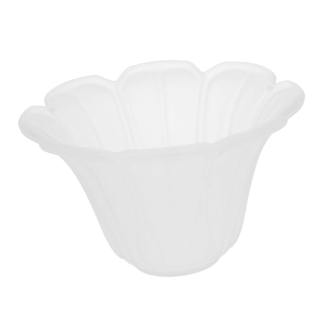 B Baosity 3 Replacement Pendant Lamp Shade Frosted Glass Shade, 2
