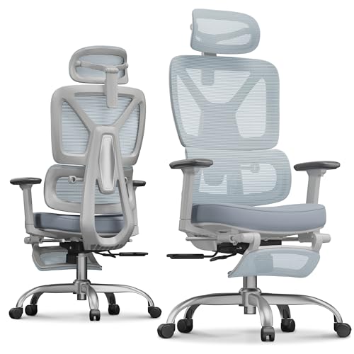 FLEXISPOT ErgoX Premium Office Chair