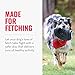 KONG Extreme Flyer - Dog Toy Supports Healthy Exercise - Soft Disc for Dogs - Toy for Fetch & Retrieve - Durable Flying Disc Dog Toy with Rebound - for Large Dogs